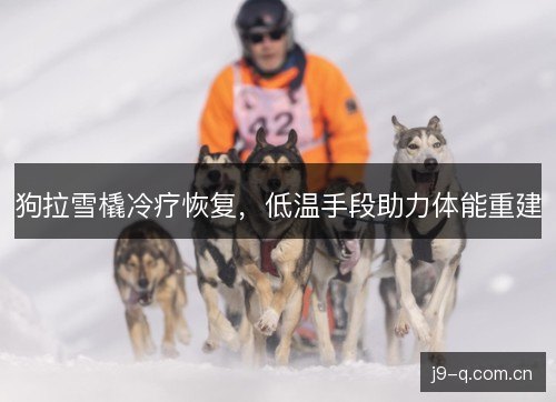 狗拉雪橇冷疗恢复，低温手段助力体能重建